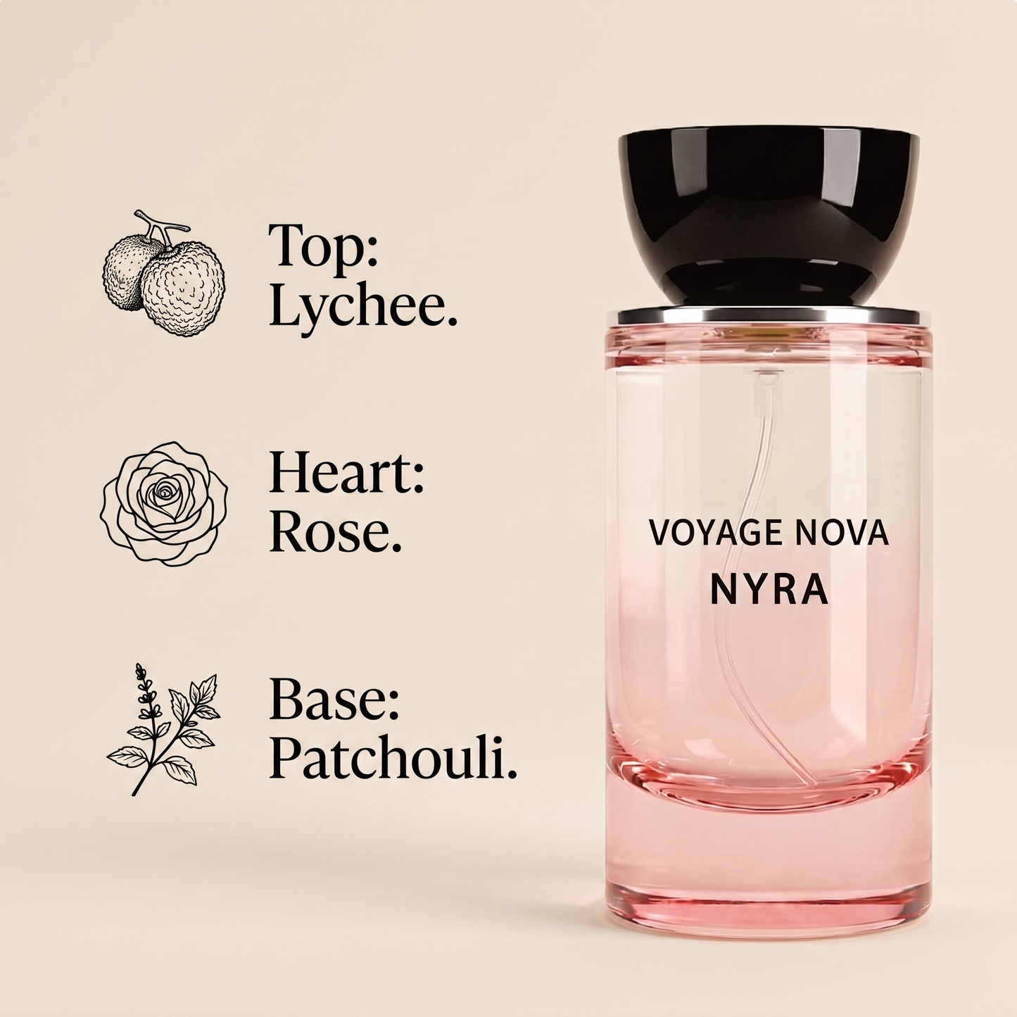 Voyage Nova